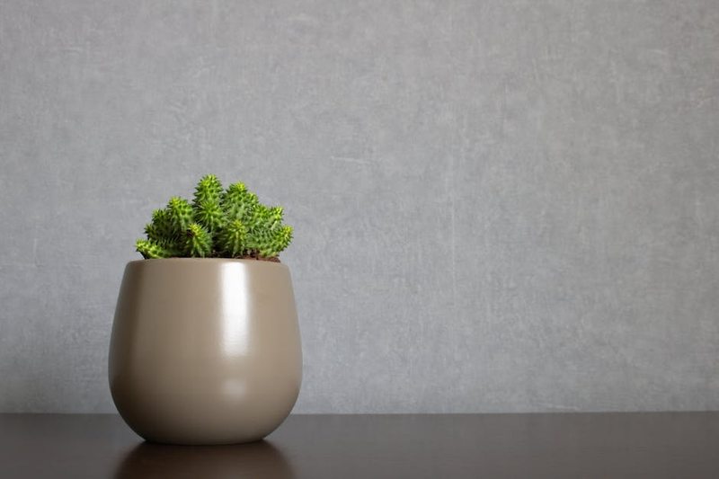 Maceta Cerámica Gris Minimalista